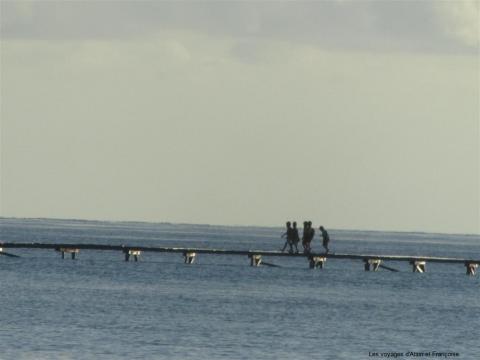 img_2294-large