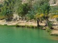 IMG_20240128_112513-Copier