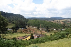 Ooty