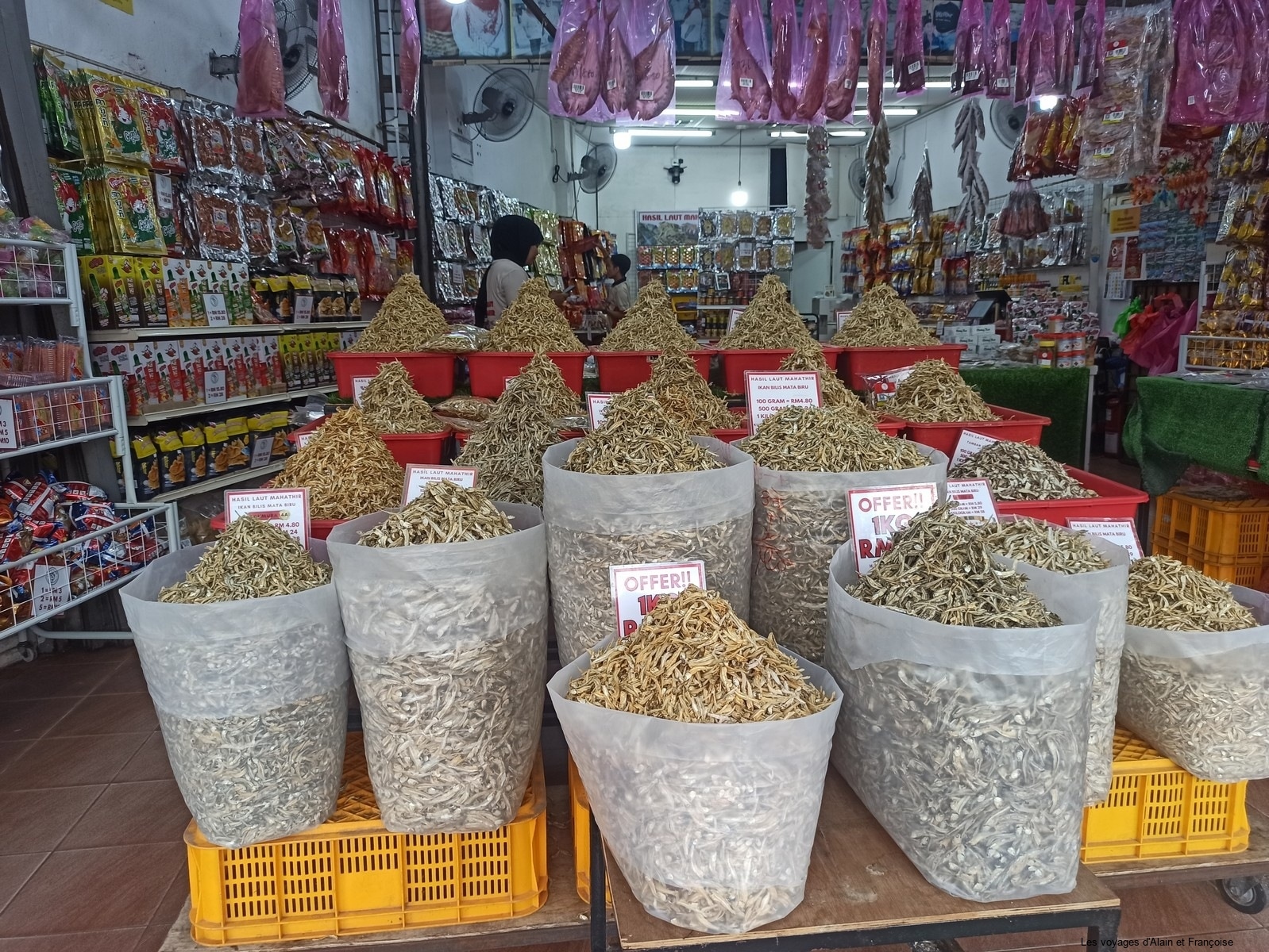 IMG_20260218_180113-Copier