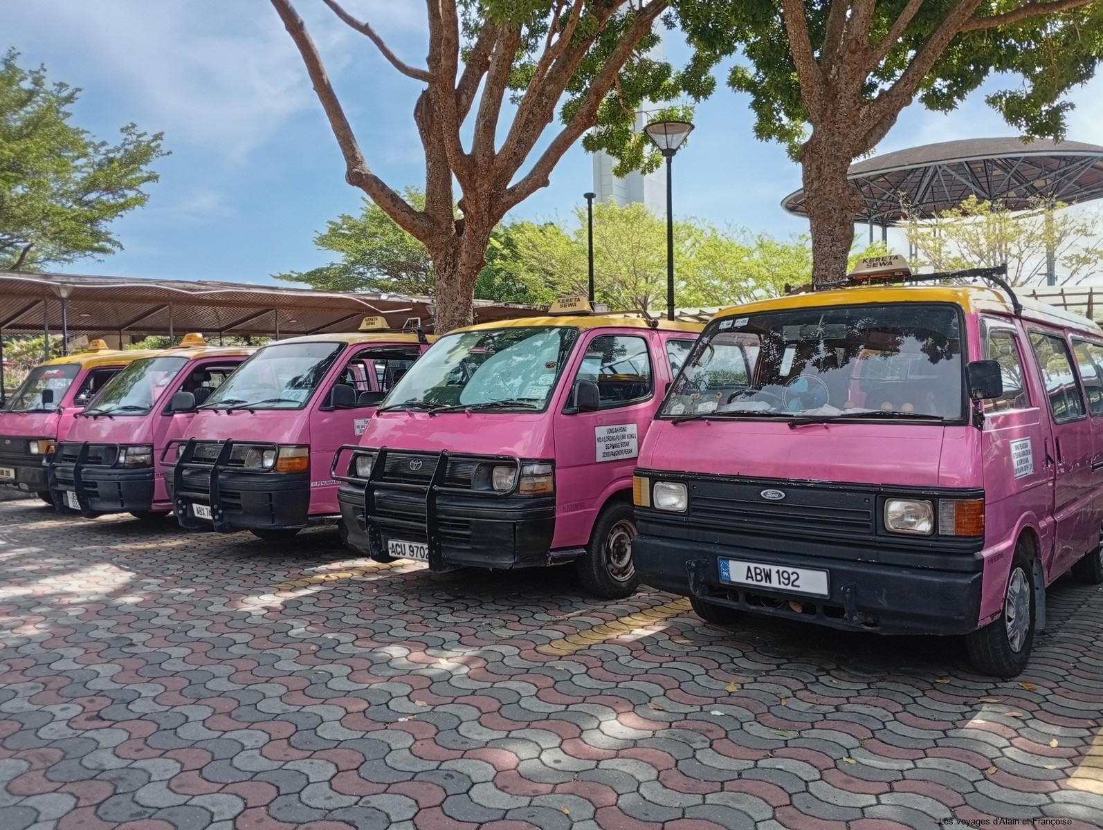 IMG_20260220_114347-Copier