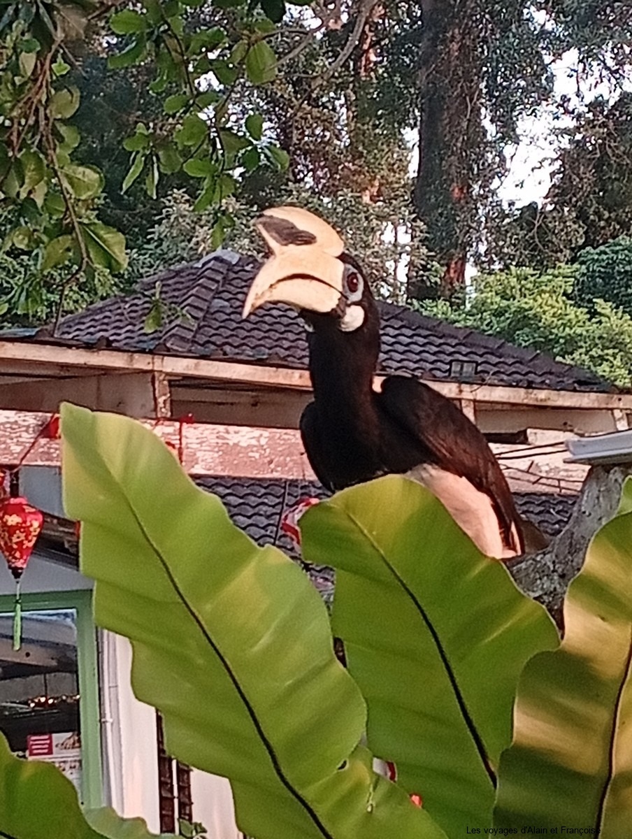 IMG_20260221_192118-Copier