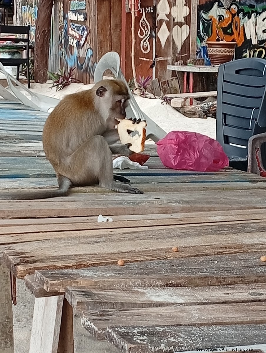 IMG_20260224_161351-Copier