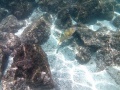 This photo is taken by AllWinner's v3-sdv