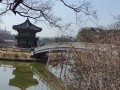 IMG_20240316_124700-Copier