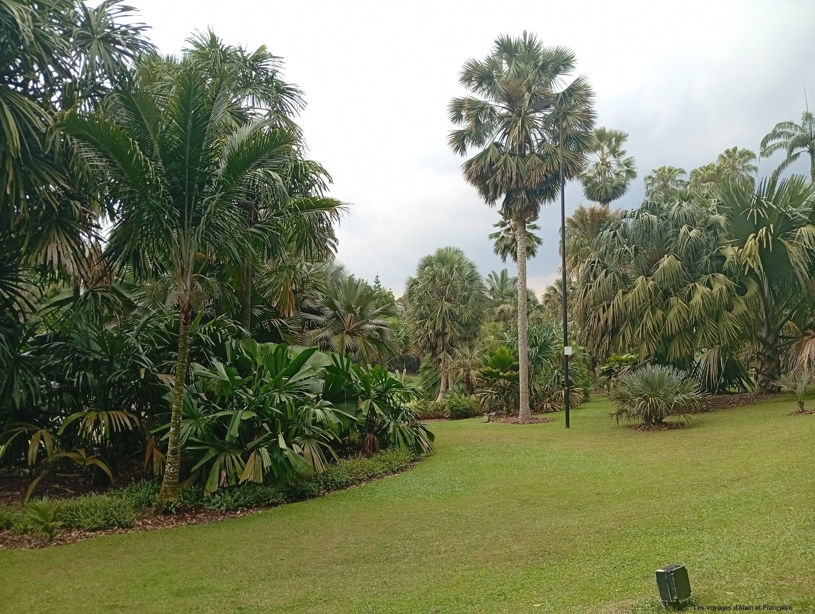 IMG_20260305_172729-Copier