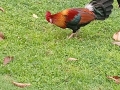 IMG_20260304_174809-Copier