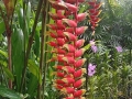 IMG_20260305_181421-Copier