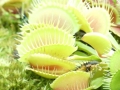 P1040115