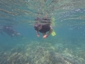 DCIM\100GOPRO\GOPR5021.JPG