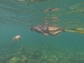 DCIM\100GOPRO\GOPR5029.JPG