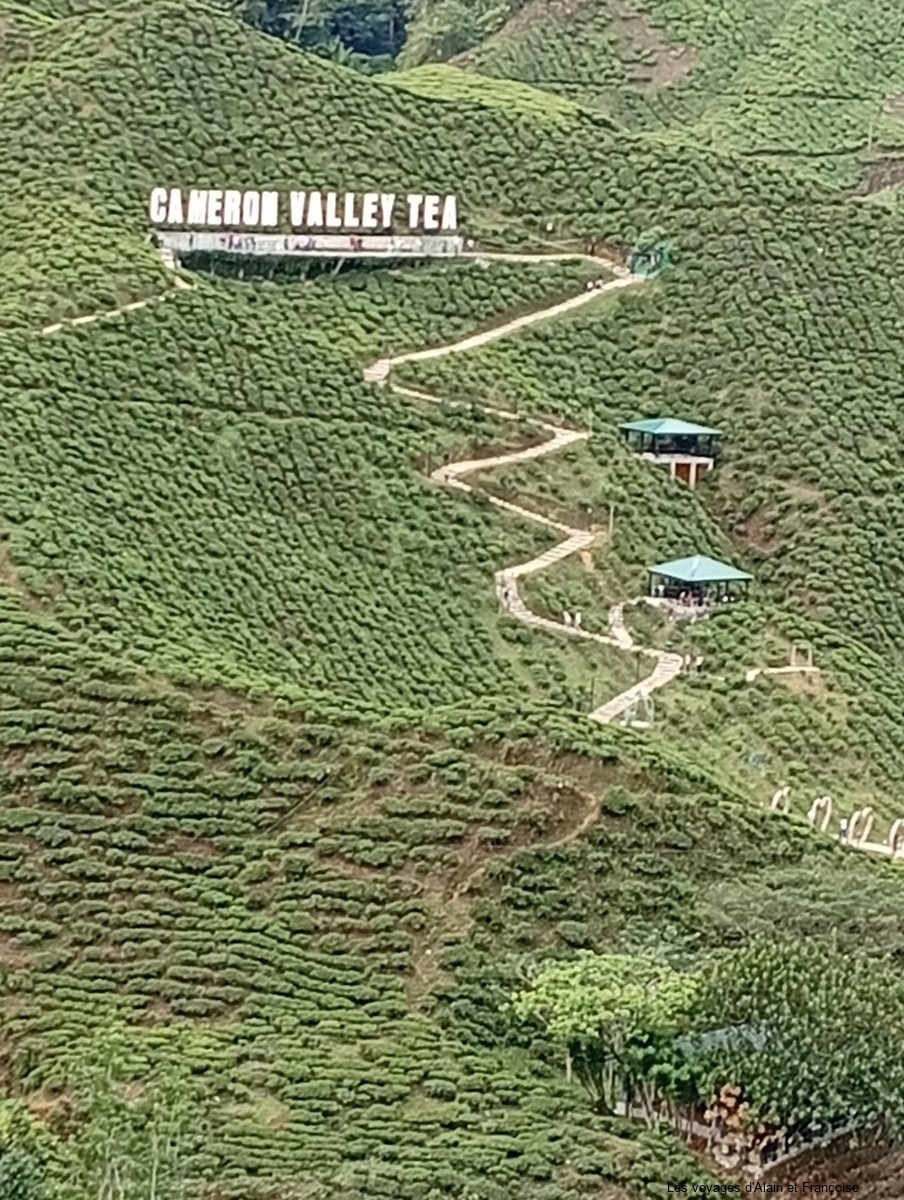 IMG_20260216_095617-Copier