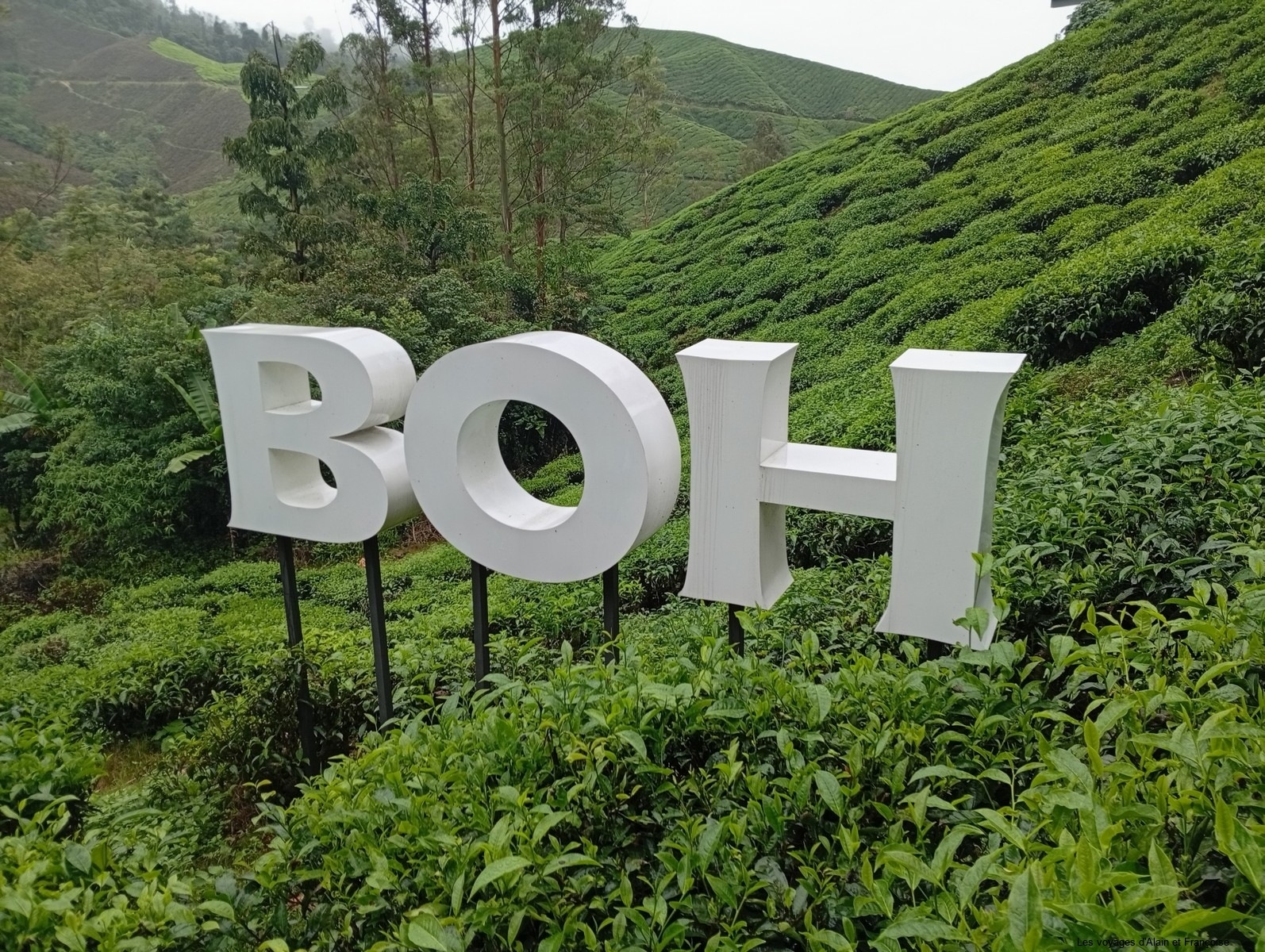 IMG_20260217_140605-Copier