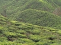 IMG_20260216_100244-Copier