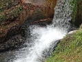 IMG_20260216_101453-Copier