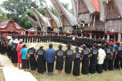 toraja 2